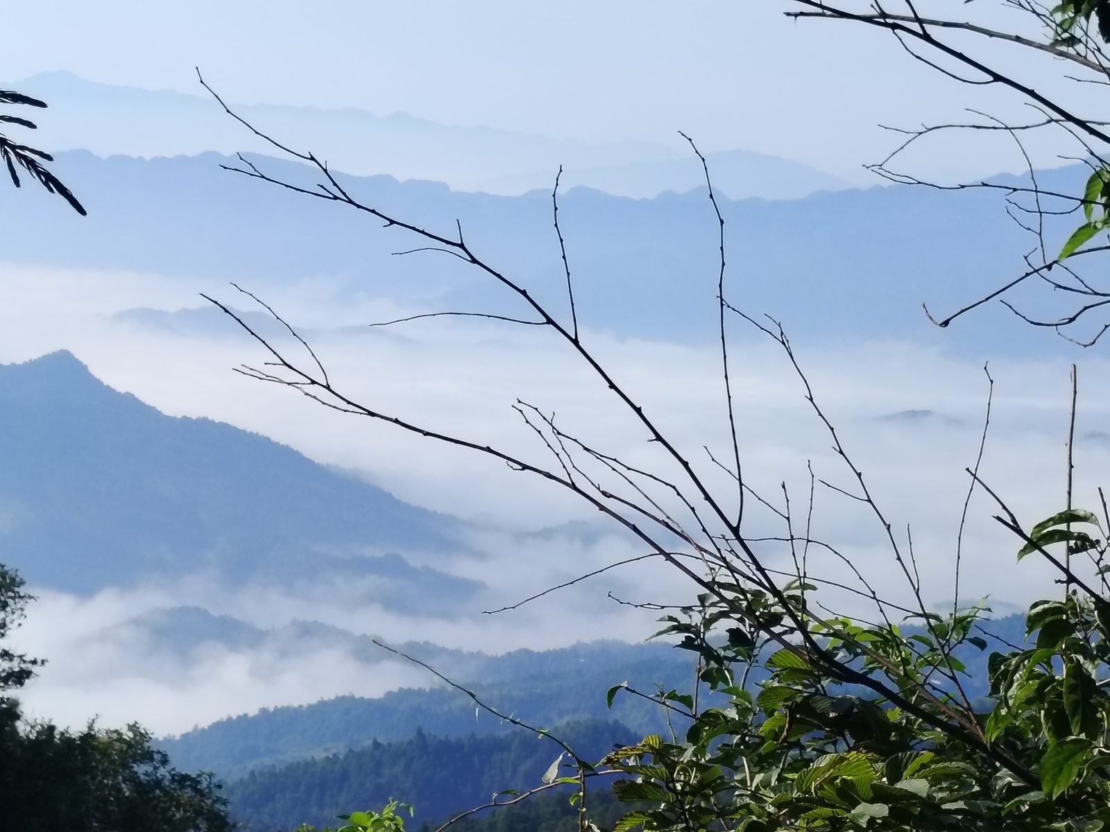 背景音乐主机