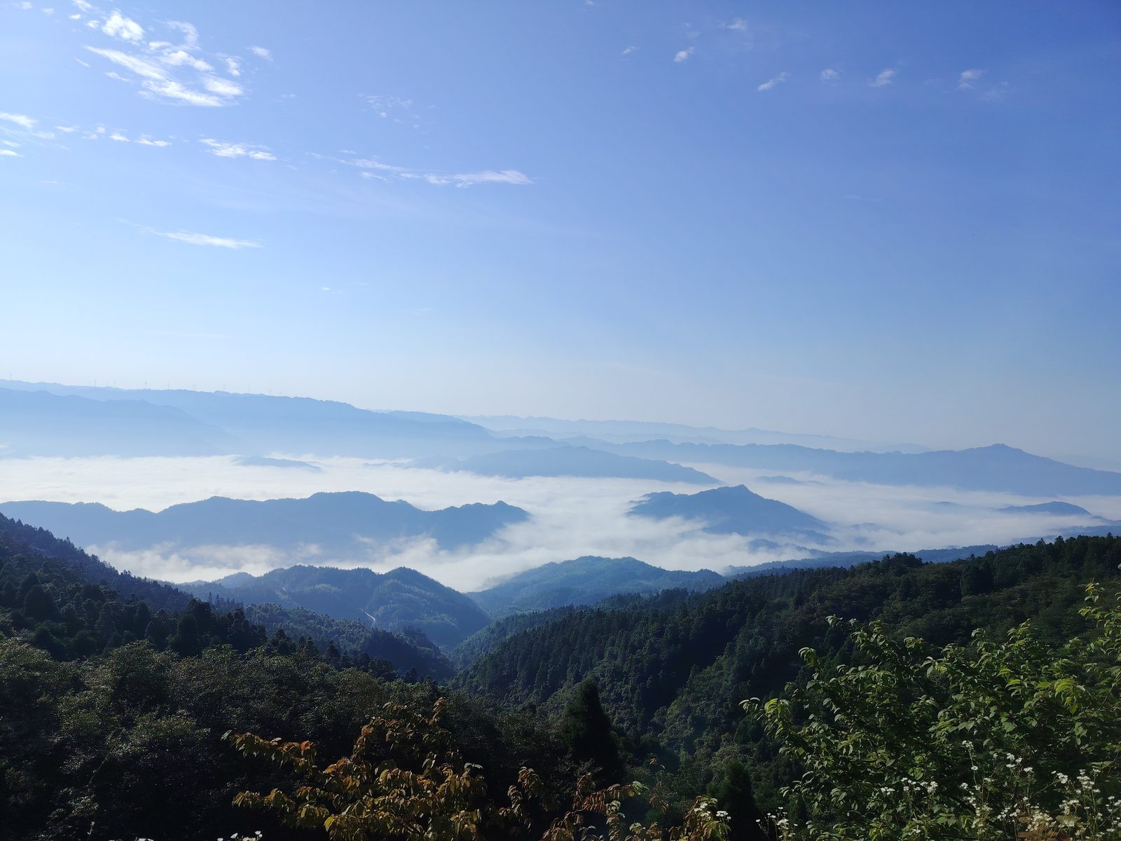 单火智能开关面板（单键）